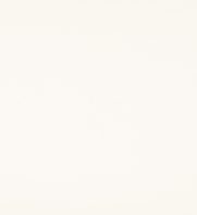 MPT-101 White - Solid Color