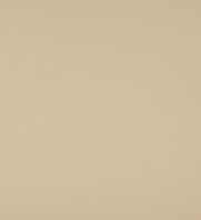 MPT-595 Ivory - Woodgrain Color