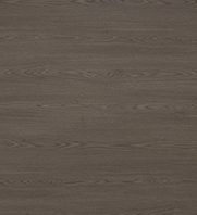 MPT-6983 Laredo Oak - Woodgrain Color